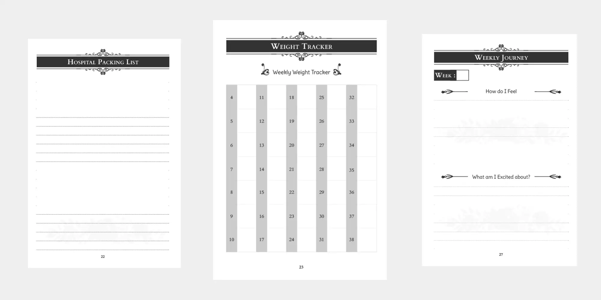 best pregnancy journal