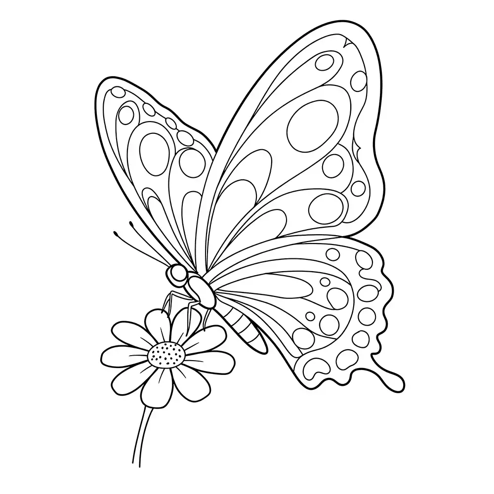 flower butterfly coloring page